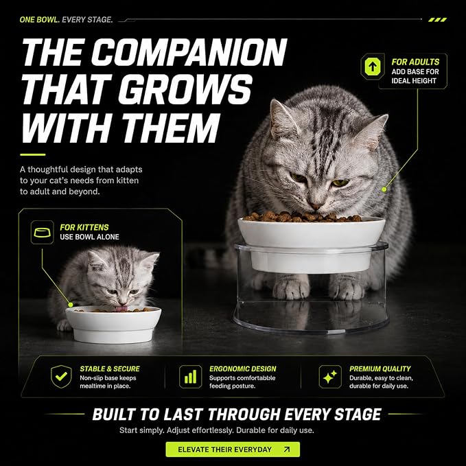 Raised Cat Bowl, 15° Tilted, 4.5 in High, White | 15° tilted shallow melamine bowl on a 4.5 in raised stand supports comfortable feeding and reduces whisker contact.