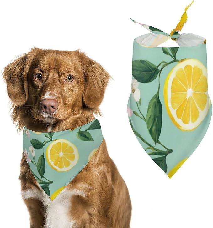 Soft and Lightweight Pet Fashion Scarves for Small, Medium, Large Dogs, Cats Lemon Tree Leaves Tropical Flowers Floral Wedding, Family Party, Casual Daily Use