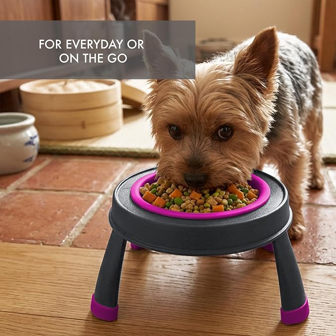 Dexas Pets Elevated Pet Feeder, Small, 1.5 Cup Capacity, Fuchsia, Raised Pet Food and Water Bowl