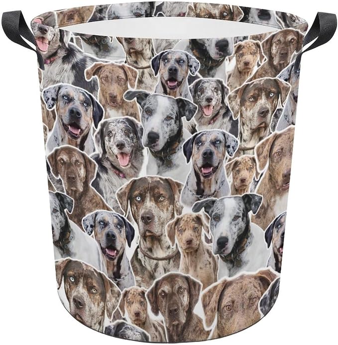 Catahoula Leopard Dog Laundry Basket, Collapsible Laundry Hamper with Handles, Catahoula Leopard Dog Laundry Hamper, Foldable Waterproof Clothes Hamper for Bedroom Bathroom