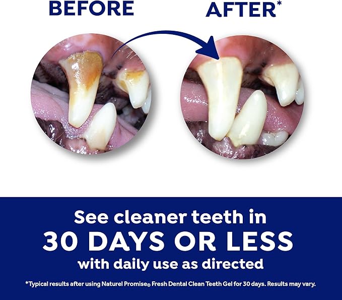 Fresh Dental Dog Toothpaste for Teeth Cleaning, Dog Breath Freshener, Easy Plaque & Tartar Remover Gel, No Toothbrush Needed, Effortless Dental Care, Minty Flavored Toothpaste, Made in USA, 4oz.