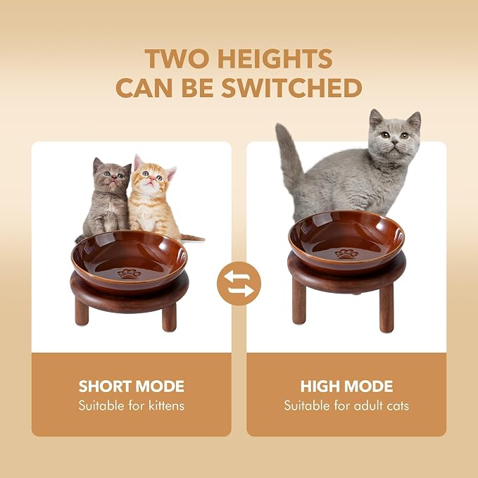 Havniva Elevated Cat Bowls, Ceramic Cat Bowl with Wood Stand, Wide Opening | 5.7” Raised Cat Food Bowls, Whisker Friendly Cat Dish, Anti-Slip Cat Water Bowls, Shallow Cat Bowls, Cat Food & Water Bowl