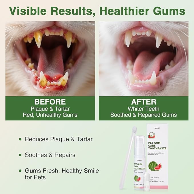 Cat Toothpaste Kit for Gum Care – Watermelon Flavor Dental Toothpaste with Finger Brush & Long-Handle Toothbrush – Soothes Gums, Freshens Breath, Reduces Plaque – Safe & Gentle for Daily Use