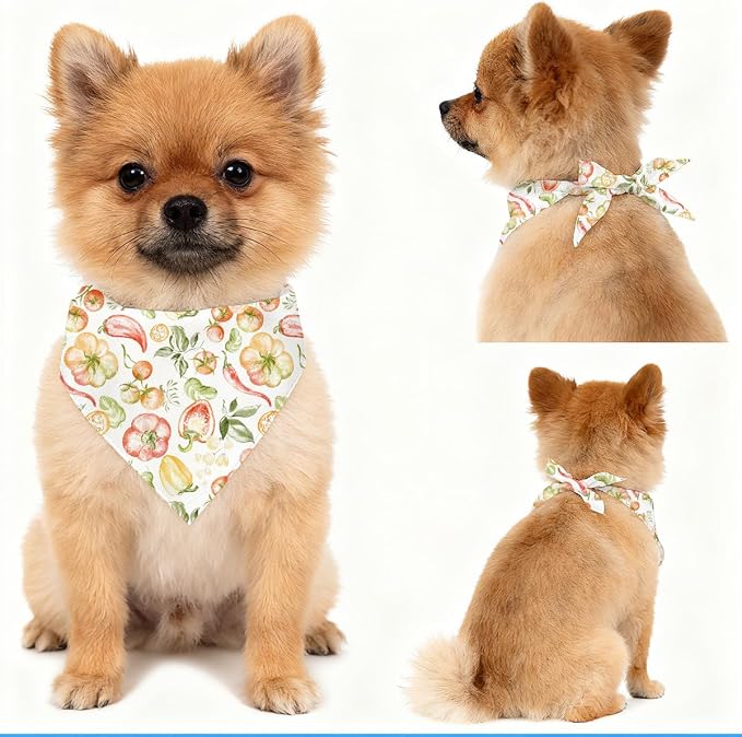 Harvest Vegetable Dog Bandana, Pumpkin Pepper Pattern Pet Triangle Scarf for Small Medium Dogs, Cute Puppy Bandana for Daily Wear Fall Outing Thanksgiving Family Photos