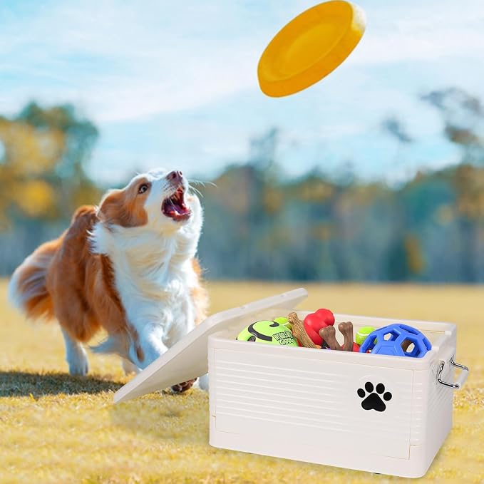 Dog Toy Basket Medium, Collapsible Pet Toy Organizer Box,Outdoor Dog Toy Bin,Waterproof Durable Plastic Bin for Toys, Leashes, and Accessories