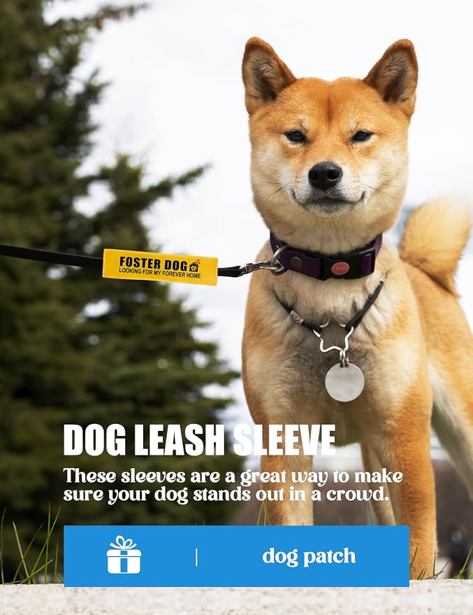 Foster Dog Leash Sleeve - Funny Yellow Alert Wrap with Hanging ID Patch | Looking for My Forever Home Pet Leash Accessory, Gift for Dog Owners