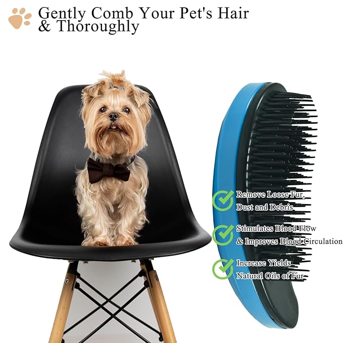 Small Dog Brush, Soft Pet Grooming Brush for Shih Tzus, Yorkies, Maltipoos, Maltese, Puppy Massaging Hair Brush, Cat Brush, for Small Animals Rabbits of All Hair Types (Blue)
