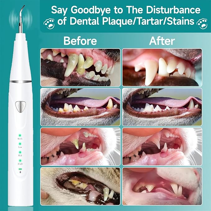 Plaque Remover for Teeth, Pet Ultrasonic Cleaner, Dog Plaque and Tartar Remover with LED Light, Dog Teeth Cleaning Dental Care Kit for Tartar and Stains, Suitable for Dogs and Cats (White)