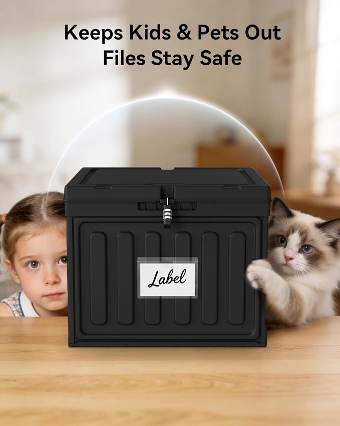 Oterri Lockable Plastic File Box with Lid for Letter-Size | Hanging File Folders Not Included. Black, Large 1-Pack. Home, Office, Classroom, Dorm, Tax, Under Bed, Filing Cabinet.