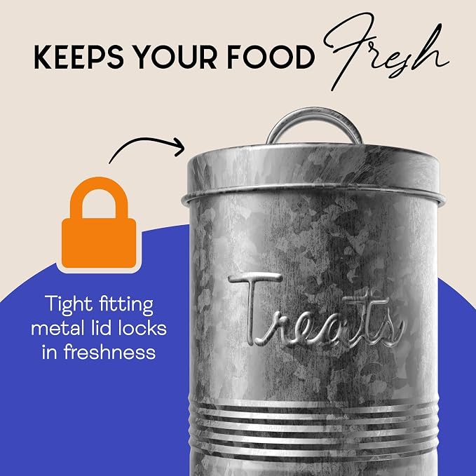 Amici Pet, Retro Treats Galvanized Relief Lettering Metal Storage Canister, Food Safe, Push Top, 72 Ounces (Pack of 2)