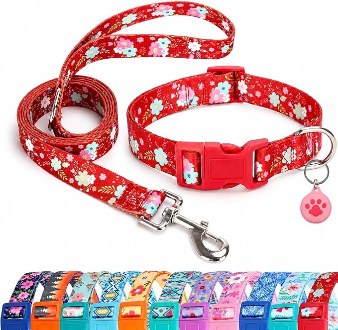 Floral Matching Dog Collar and Leash Set with AirTag Holder-Red Daisy/XS | Anti-Lost,Adjustable Durable Pet Collar Leash Combo for Puppy X-Small Boy Girl Dogs,Outdoor Walking Hiking Training Running