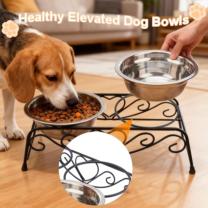 Small Dog Bowls with Metal Stand for Small Breeds Cats and Puppies 3.4 Inch Fixed Height Elevated Feeder with 2 Removable Stainless Steel Bowls