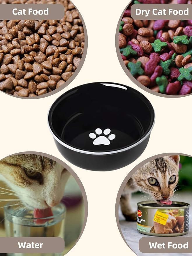 GDCZ Ceramics Raised Cat Bowls with Heighten Metal Stand,15 Ounces (Black)