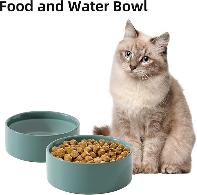 Havniva Ceramic Set of 2 Cat Bowls, Food and Water Bowls for Cats, Kitty, 2pcs Cat Dishes, Pet Feeder(5.1inch, 2 x Light Green Bowls)