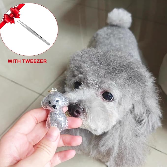 Cute Dog Hair Keychain Transparent Pet Fur Keepsake with Tweezer | Portable Dog Fur Keychain DIY Pet Hair Memorial Keepsake Dogs Hairs Collector Charm Storage Box, Dogs Lover Collecting Gifts