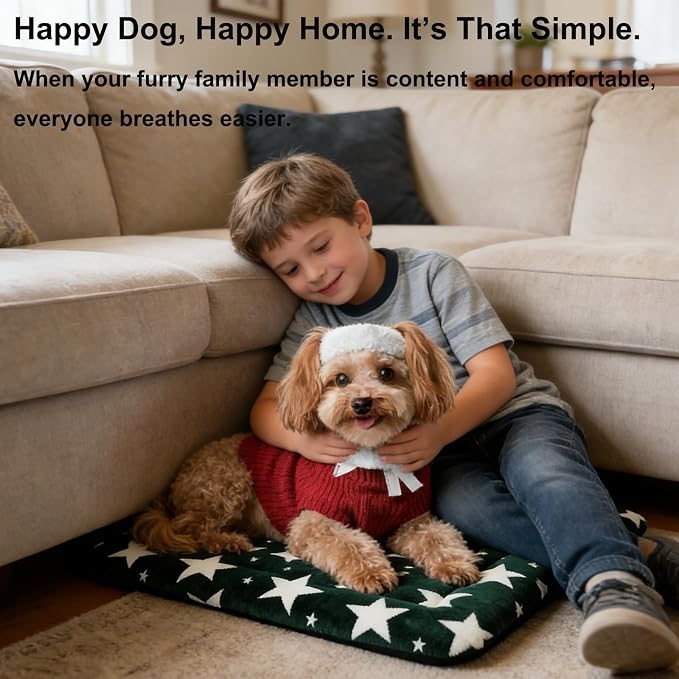 Dog Bed Mat, Reversible Dog Crate Pad with Washable Kennel Mat and Soft Foam, Pet Bed for Dogs & Cats, for Crates Carriers & Travel (Big&Small Stars Green, 24" L*18" W*1.5" Th)
