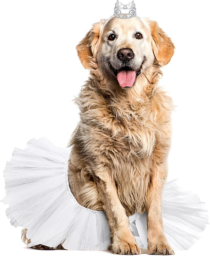 2 Pcs Dog Crown Headband Dog Tutu Dress Set Crystal Rhinestone Tiara Crown Tutu Skirt Pet Dress Costume for Puppy Birthday Party Wedding Photo Prop Costume(Large,White)