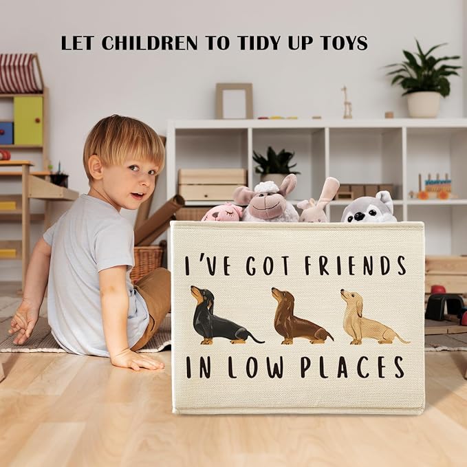 Funny Weiner Dog Storage Basket Bins With Handles for Girls Kids, Funny Dachshund Dog Foldable Organizer Basket Toybox for Girls Room Nursery Bedroom Bathroom Clothes Toys Books