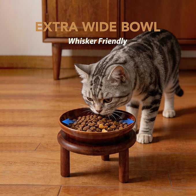 Havniva Elevated Cat Bowls, Ceramic Cat Bowl with Wood Stand, Wide Opening | 5.7” Raised Cat Food Bowls, Whisker Friendly Cat Dish, Anti-Slip Cat Water Bowls, Shallow Cat Bowls, Cat Food & Water Bowl