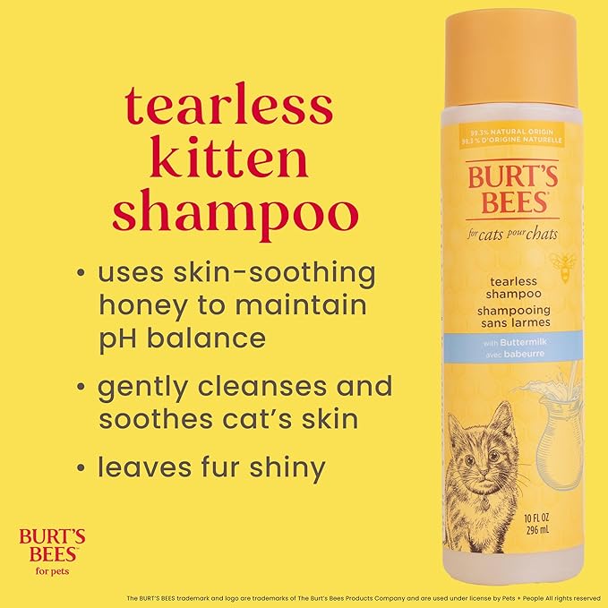 Burt's Bees for Pets Tearless Kitten Shampoo with Buttermilk and Honey, Gentle Cat Shampoo for Itchy Skin and Sensitive Coats, Easy Rinse Low Lather Formula, 99.3% Natural Origin, 10 Fl Oz - 2 Pack