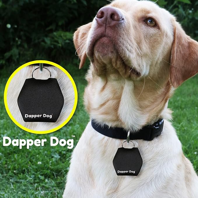 Dapper Dog - Dog Tag Silencer with Tag Ring (Black)