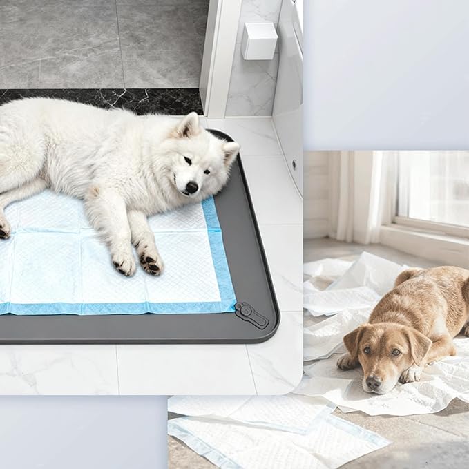 Pee Pad Holder - Silicone Tray, Spillproof Non Slip Pet Training Accessory