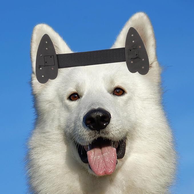 ORFOFE Dog Ear Posting Kit Puppy Ear Support Tape for Doberman Dog Standing Tape Pet and Positioning Stickers for Medium Large Dogs 3.54 X 1.57 in