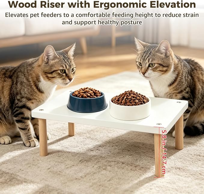 Wood Monitor Stand Riser, Desktop Organizer, Elevated Display Shelf for Laptop, Printer, Office Desk, Cat Feeding Table, Easy Assembly, 15.7 x 9.4 x 5.8 inch, White