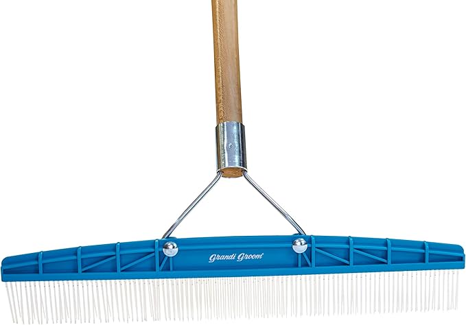 Grandi Groom AB24 Carpet Rake, 18-Inch Head, 54-Inch Handle, Blue