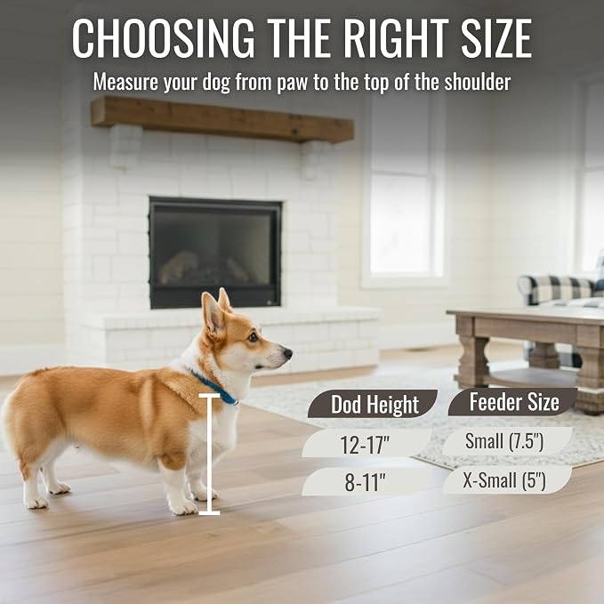 Personalized Dog Bowls Stand for Small Dogs, Wood Elevated Feeding Station | Farmhouse Style, Stainless Steel Dishwasher Safe Bowls, Raised Anti-Slip Feeder, Made in USA
