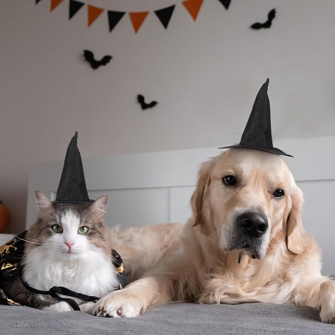 Toyvian Mini Halloween Witch Hat for Cats Dogs, 2pcs Spooky Non-Woven Puppy Kitten Headwear Pet Vampire Costume Accessories for Holiday Party Photoshoot