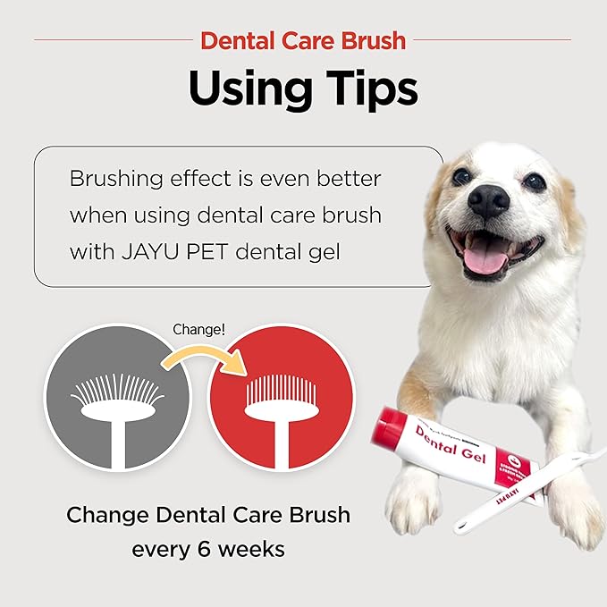 JAYU PET Dental Care Brush (Soft Bristles) 5ea - Dog Toothbrush, Cat Toothbrush, Dental Care for Kitten and Small Dogs, Removing Old Plaque and Tartar, Cat Teeth Brushing & Easy Cleaning