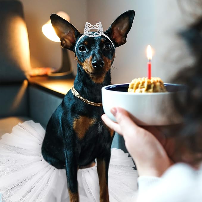 2 Pcs Dog Crown Headband Dog Tutu Dress Set Crystal Rhinestone Tiara Crown Tutu Skirt Pet Dress Costume for Puppy Birthday Party Wedding Photo Prop Costume(Large,White)