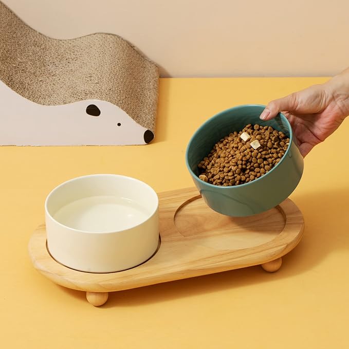 Havniva Ceramic Elevated Cat Food and Water Bowl, Kitty Bowl, Raised Cat Dish, Pet Feeder (5.1 in, 2 x Dark Green + Stand)