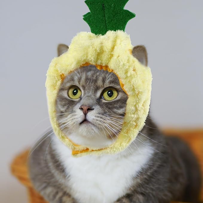Toyvian 4pcs Fruit-Shaped Pet Hats for Dogs and Cats, Adorable Cloth Dog Party Headwear Highlighting Pet's Appearance with Sturdy Material, for Autumn and Winter Dress