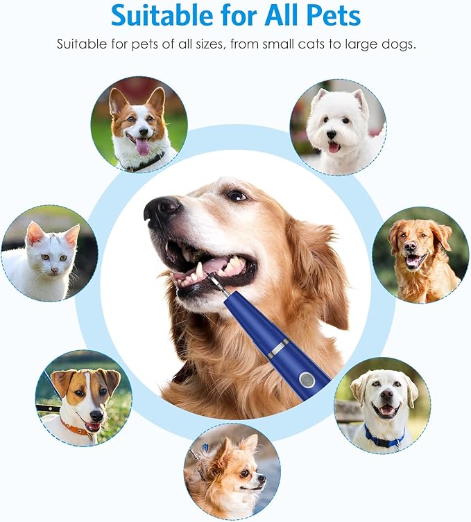 AMIR Ultrasonic Pet Plaque Remover, Electric Teeth Cleaning Kit for Dogs & Cats with 5 Modes, LED Light, IPX6 Waterproof, USB Rechargeable Toothbrush Cleaner for Dogs Cats (Blue)