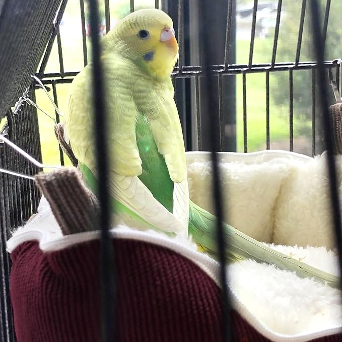 QBLEEV Bird Nest House, Parrot Winter Warm Bed for Cage Hanging Hammock | Soft plush snuggle hut tent, parrot cage accessories hideaway sleeping bed for budgie parakeet cockatiel conure lovebird