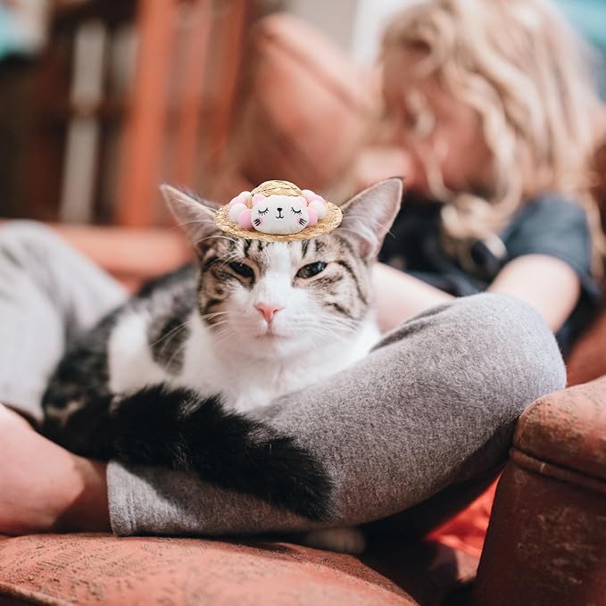 Wear-Resistant Decorative Pet Hat for Cat and Kitten Pink Summer | Raffia and Plush Build, Comfortable Fit with Reduced, Lovely Style for Halloween Photos