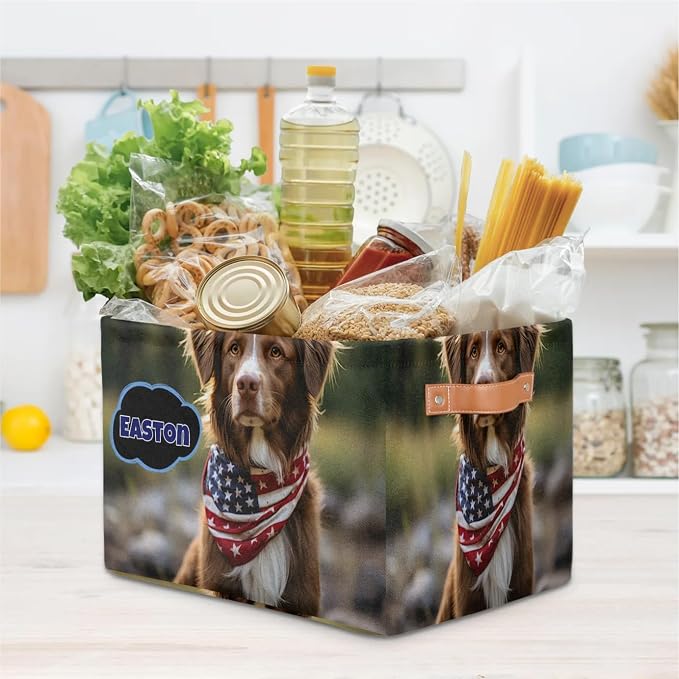 Personalized Storage Basket with Name, Rectangle Toys Pet Dog Storage Bin with Handles for Baby, Boys, Girls, Collapsible Basket for Clothes, Books