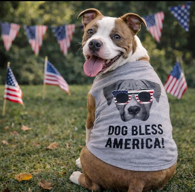 Dog Shirt Dog Bless America Shirt Funny Patriotic Clothes for Puppy Grey M