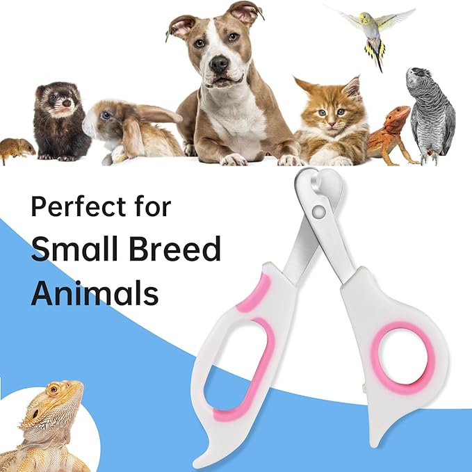 KEUYE Bearded Dragon Nail Clippers,Stainless Steel Bearded Dragon Toe Nail Clippers with Precise Angled Edges (Pinky White)