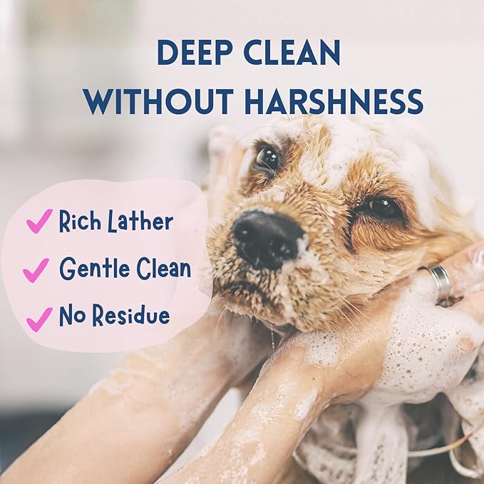 All-in-One Dog Shampoo & Conditioner, 16 oz – Oatmeal & Coconut Formula for Dry & Sensitive Skin, Gentle Cleansing, No Harsh Chemicals or Parabens, Light Fresh Scent, Made in USA