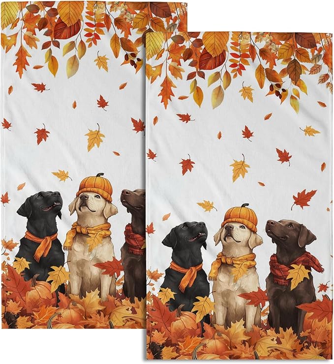 Giwawa Fall Dog Towel Set of 2, Autumn Pumpkins Orange Maple Leaves Funny Puppy Decorative Hand Towels, Thanksgiving Harvest Soft Face Towel Washcloth for Bathroom Guest Gym Spa Hotel Home