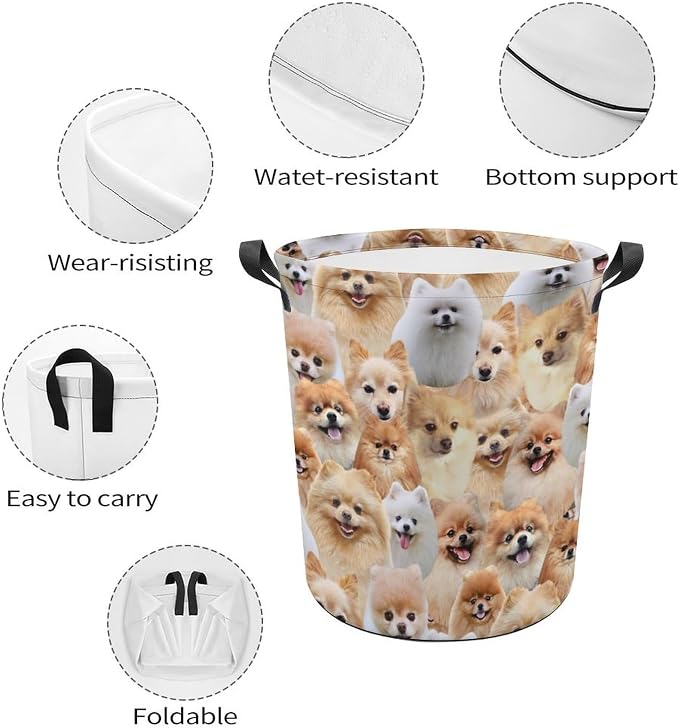 Large Laundry Hamper for Pomeranian Lover, Cute Pomeranian Dog Print Laundry Basket, Collapsible Storage Bin, Waterproof Organizer for Bedroom Bathroom, Gifts for Pomeranian Mom Dog Owner