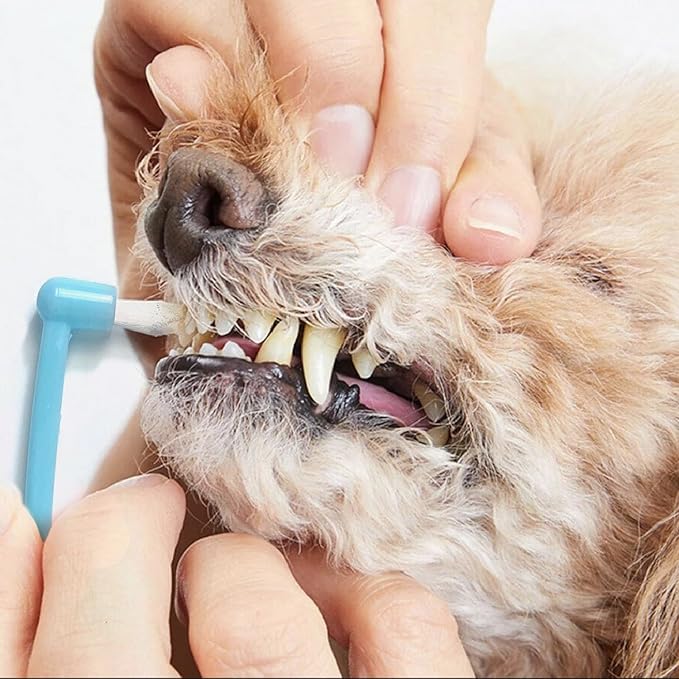 Dog Toothbrush, 360 Degree Finger Toothbrushes, Triple Head Toothbrushes, Double Head Toothbrush,Cleaning Brushes for Dog Cat Oral Dental Health (Blue, L)