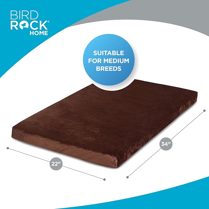 BIRDROCK HOME Memory 3" Memory Dog Bed | Ultra Soft Plush Pet Bed | Pet Mat (34 x 22, Brown)