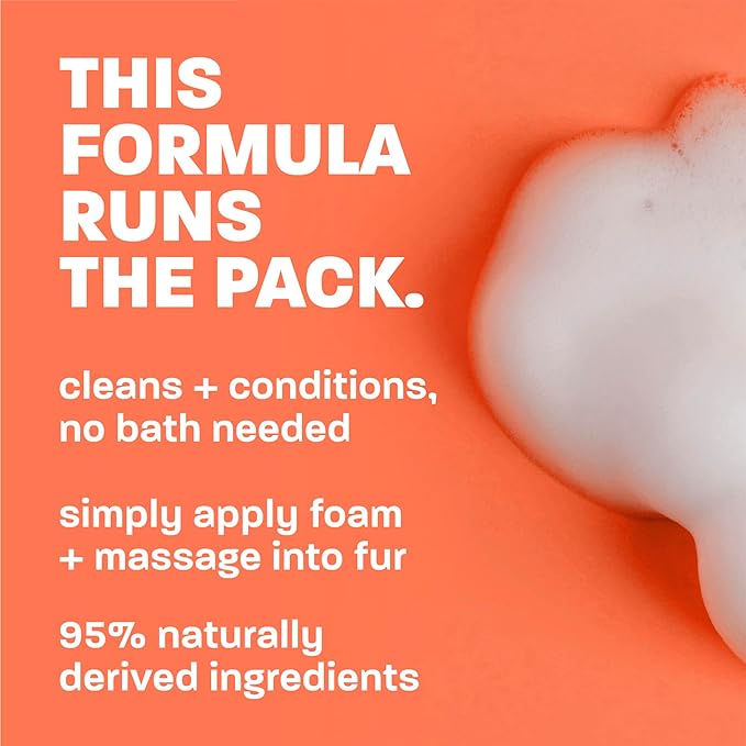 TropiClean No Rinse Waterless Dog Shampoo | Detangling & Deodorizing Dry Shampoo for Smelly Pets | Moisturizes Dry Skin | USA Made | Papaya Scent | 7.4oz