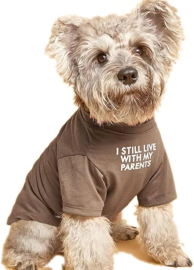 Cute Dog Clothes, T Shirt for Medium and Small Dogs Girl Boy,Puppy.Breathable Soft Dog Costume for Pet Dogs Cats, Pet Pullover Jumper, Cat Clothes (L-(10~17lb), Chest~18", Khaki)