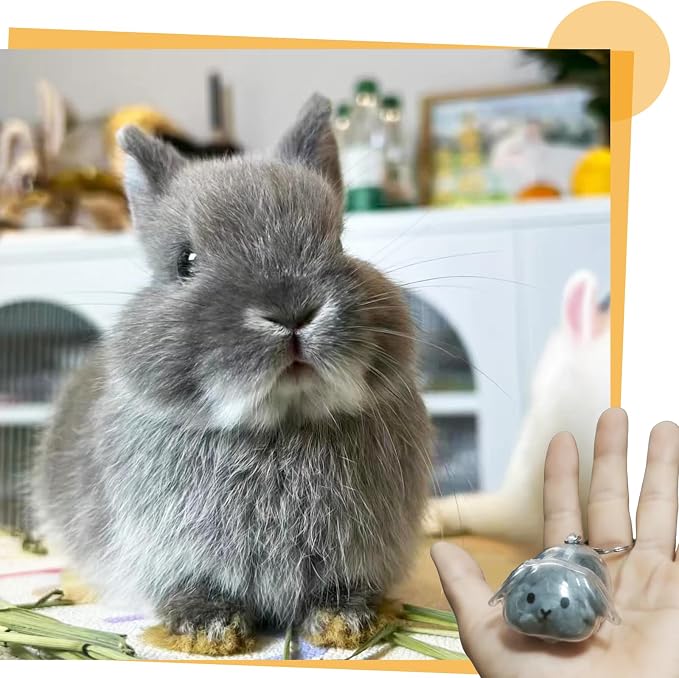 Rabbit Hair Keychain Transparent Pet Fur Keepsake with Tweezer | Portable Rabbit Fur Keychain DIY Pet Hair Memorial Keepsake Bunny Hairs Collector Charm Storage Box, Rabbits Lover Gifts