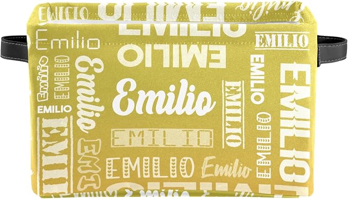 Personalized Toy Box Storage Bins for Boys Girls with Name, Kids Custom Storage Basket Cubes Organizer with Handles, Shelf Closet Storage Baskets Bin Customized Gift, 1 Pack